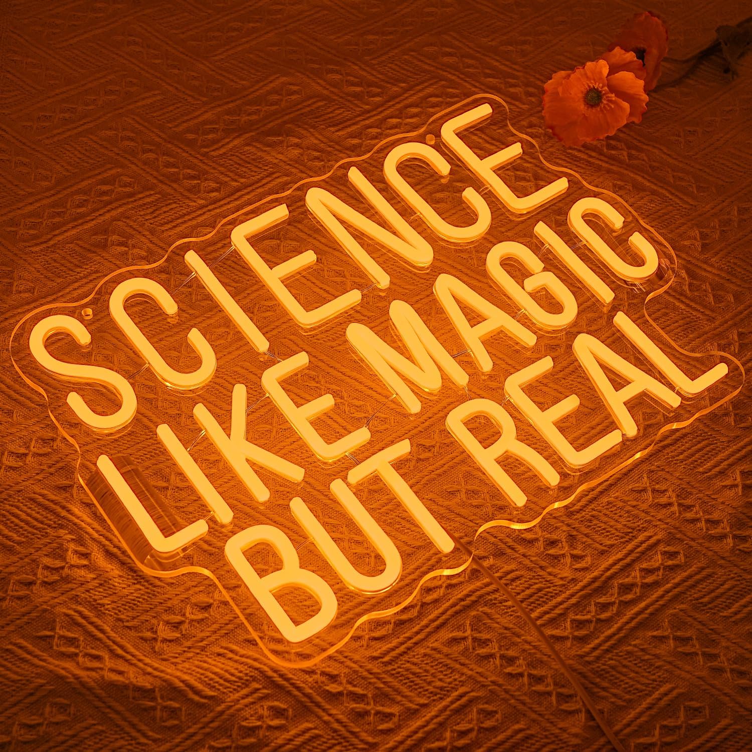 Science Like Magic But Real Ne - đánh giá và giá Science Hobbyist