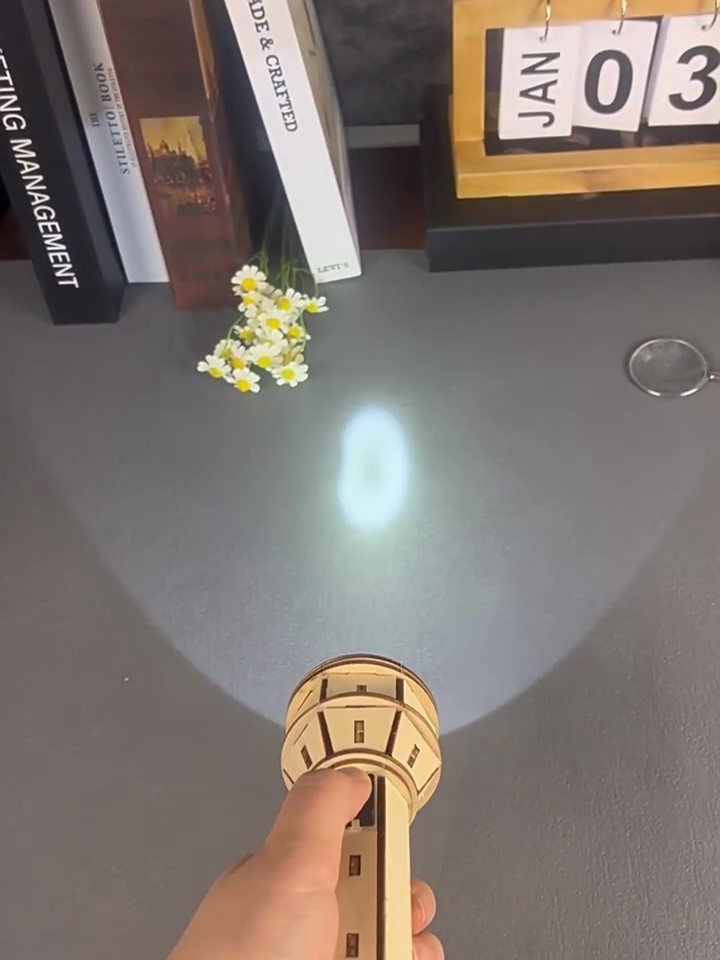 Wooden DIY Flashlight Puzzle K - đánh giá và giá Science Project Kit