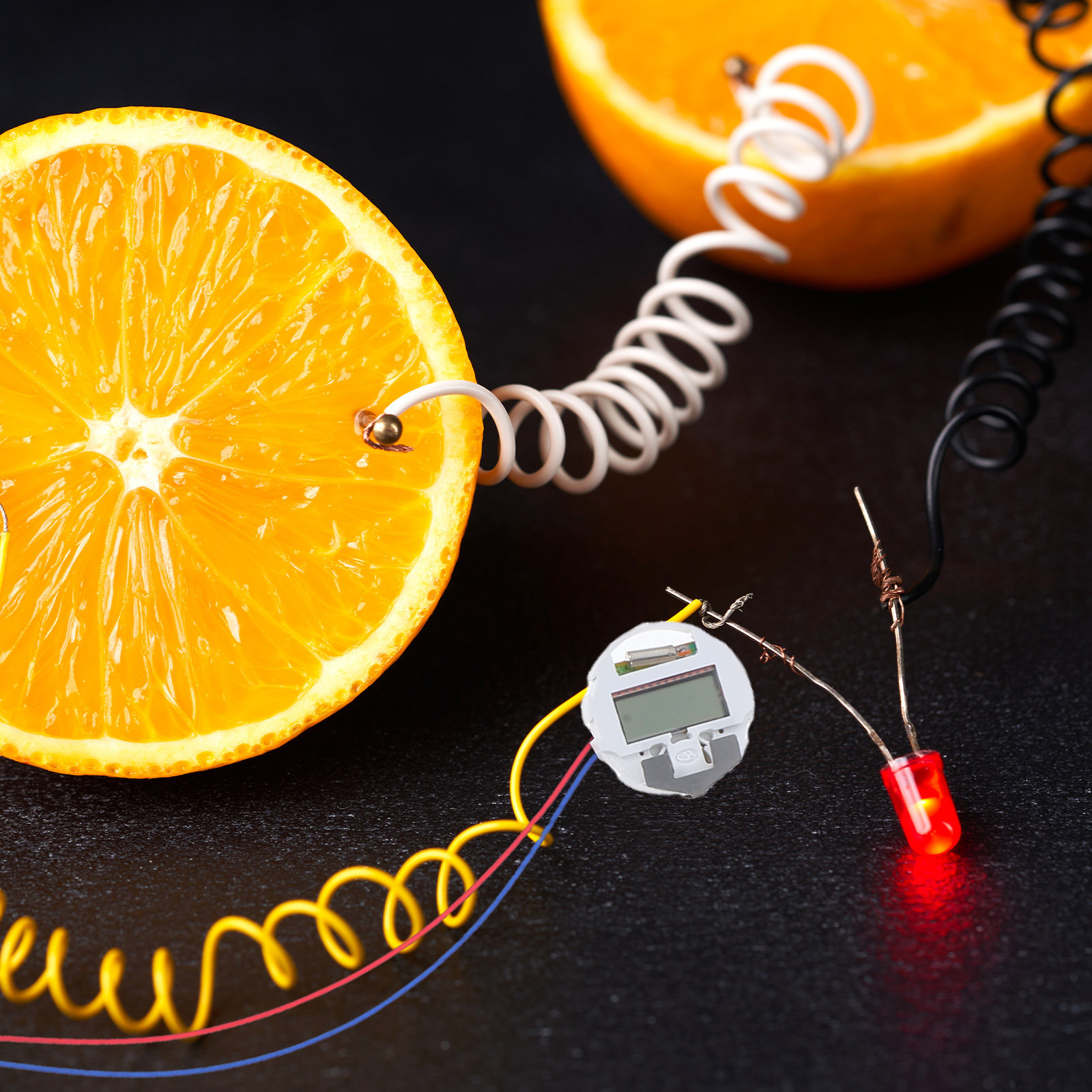 1Set Fruit Battery Experiment  - đánh giá và giá Science Project Physics