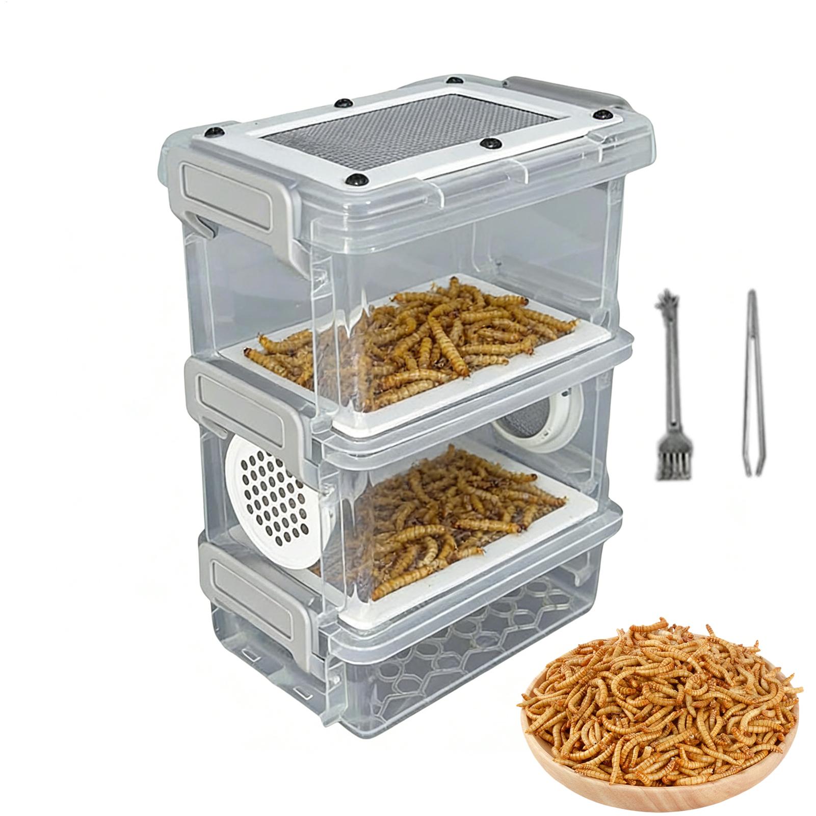 Mealworm Breeding Kit 3-Layer  - đánh giá và giá Science Hobbyist