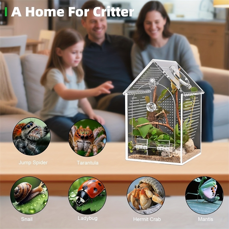 Transparent Acrylic House Inse - đánh giá và giá Science Hobbyist