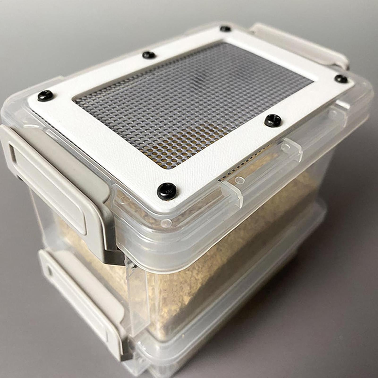 3-Layer Silkworm Feeder Bin Co - đánh giá và giá Science Hobbyist